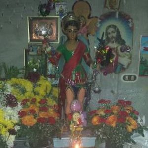 Meet your Posher, Dinora